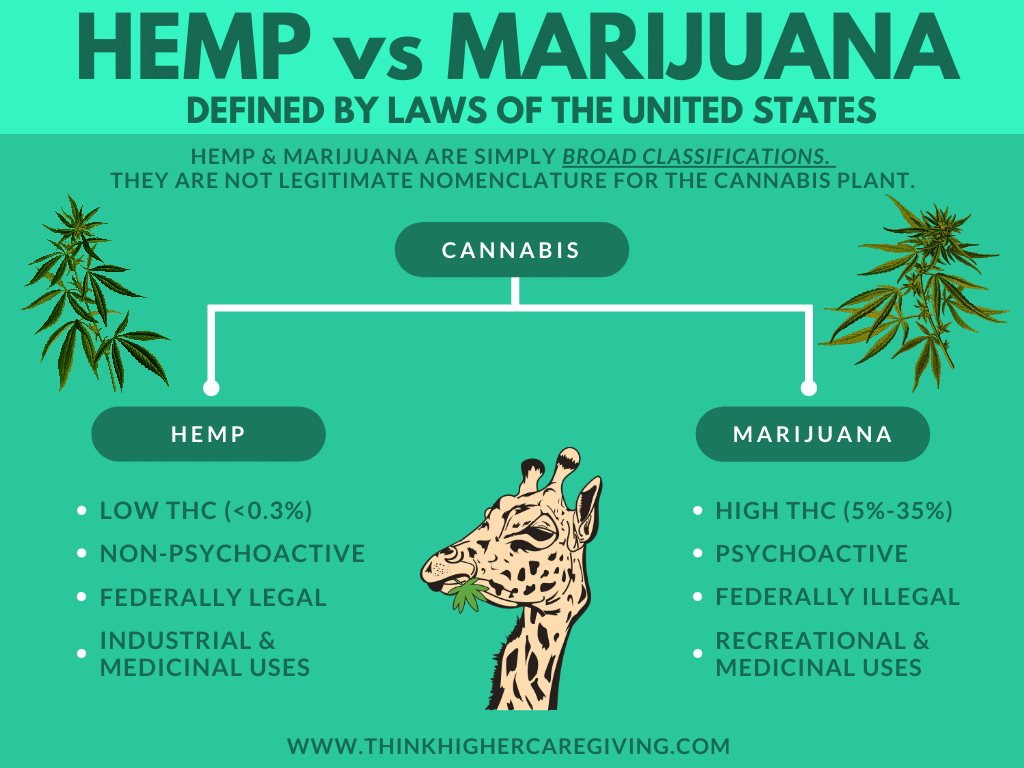 Hemp vs Marijuana - Think Higher