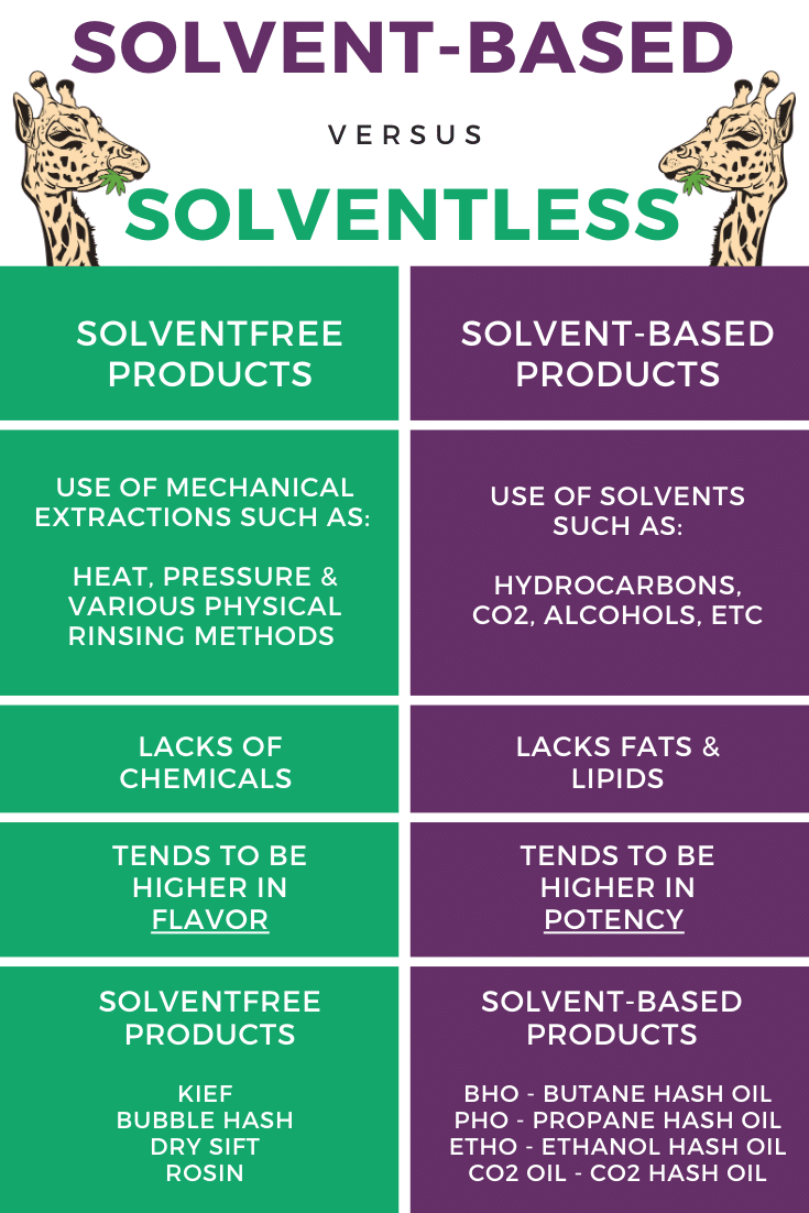 Solvent Free vs Solvent Based